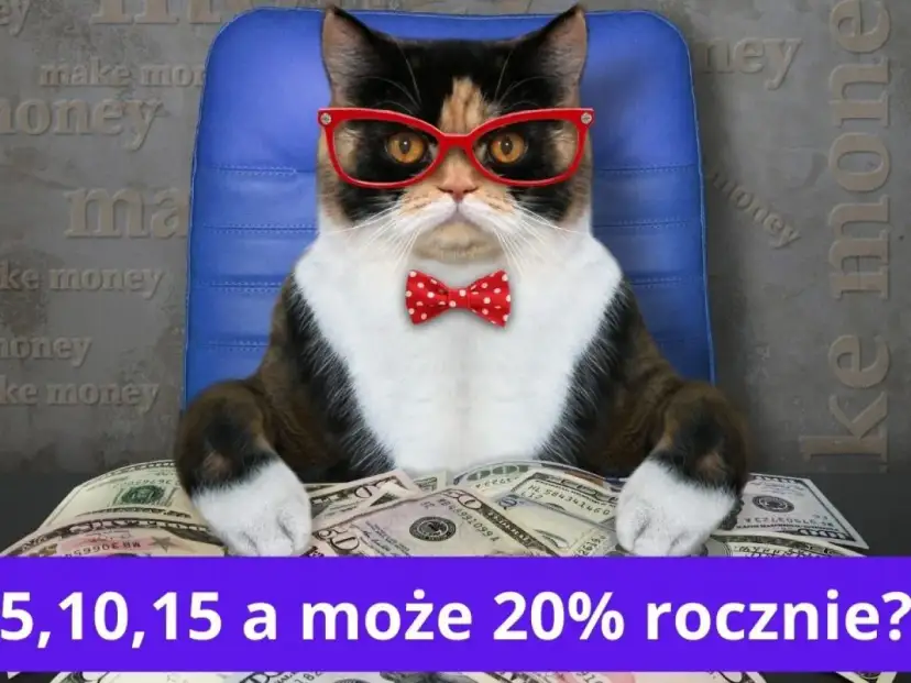 Kot w okularach i muszce siedzi za stosem dolarów. Czy można zarobić na funduszach inwestycyjnych 5, 10, 15, a może 20% rocznie?