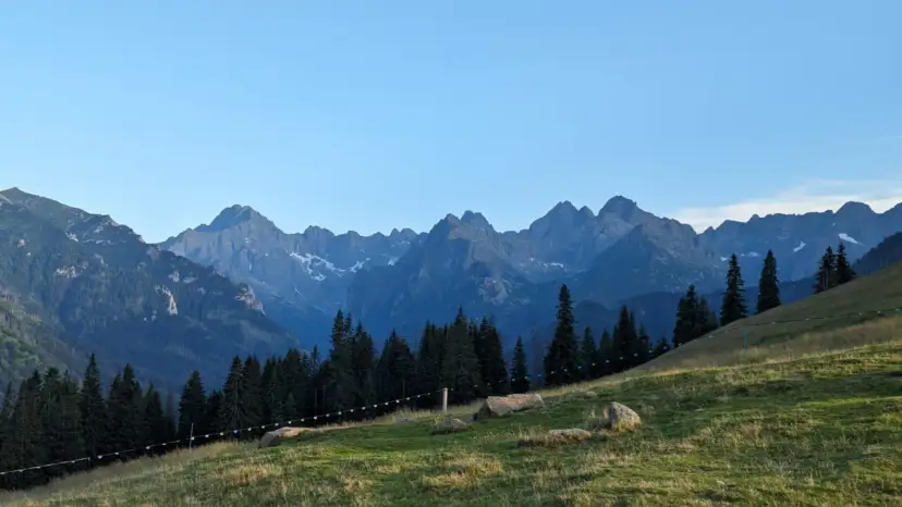 Widok na gęsią szyję Rusinową Polanę z pasmem górskim w tle.
