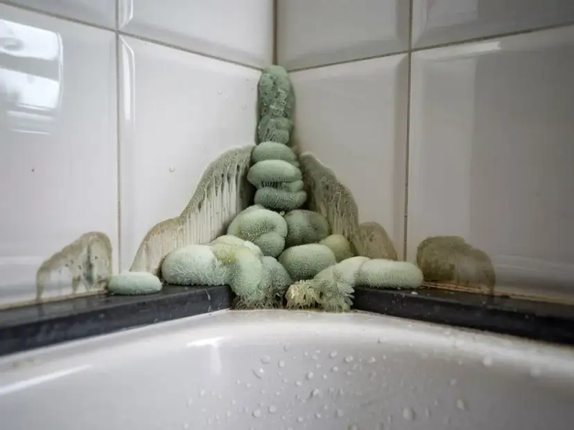 Skuteczne sposoby na zabezpieczenie fug pod prysznicem przed pleśnią