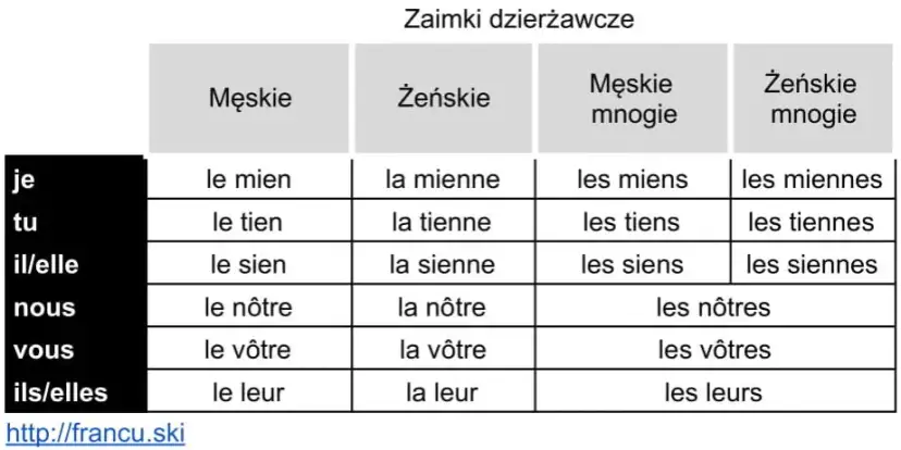 Francuskie przymiotniki dzierżawcze: Uzgadniaj z rzeczą, nie z płcią!
