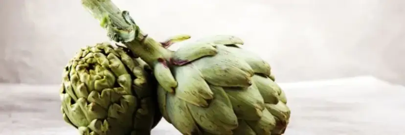 Kiedy jest sezon na karczochy? Sprawdź, kiedy są najlepsze!