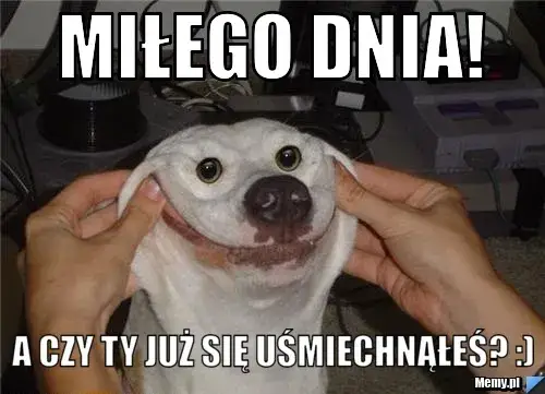 Memy na miły dzień: Gotowe obrazki i GIF-y do wysłania