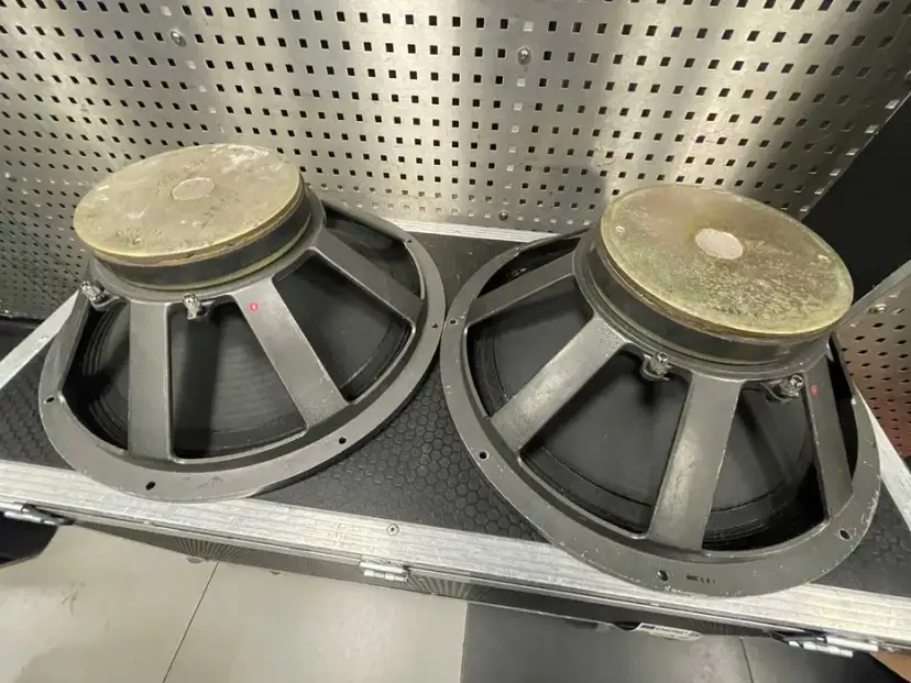 Głośnik estradowy: jak wybrać najlepszy model do koncertów i imprez