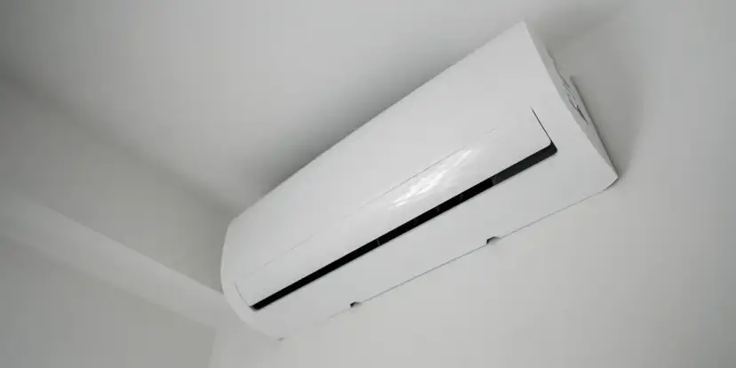 Kaisai to polska marka! Poznaj właściciela i jej sukces.