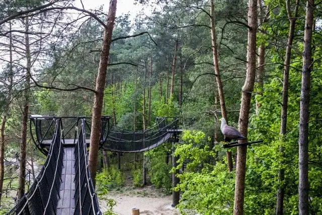 Atrakcje pod Warszawą: Idealne miejsca na weekend i jednodniowe wypady