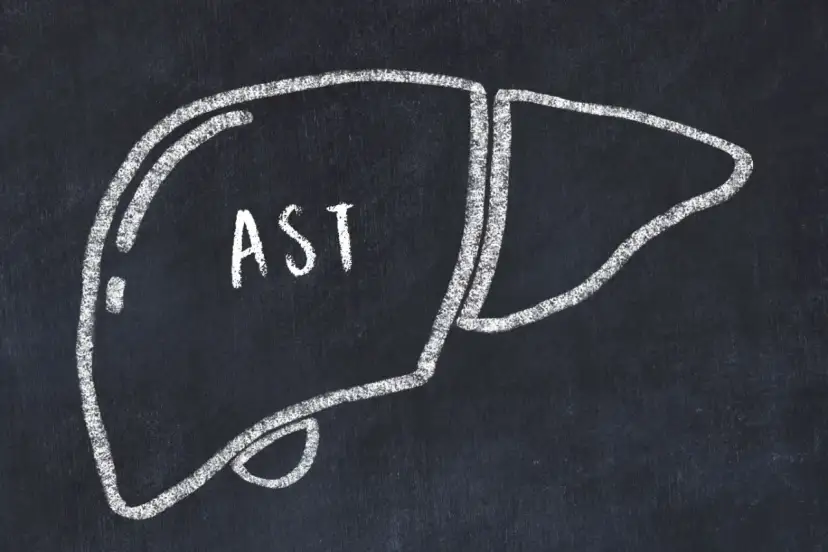 Rysunek wątroby z napisem AST. To badanie pomaga ocenić jej stan.