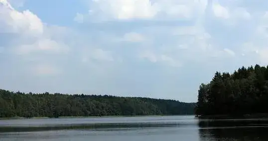 Rezerwat przyrody Bachotek - odkryj jego unikalne piękno i przyrodę