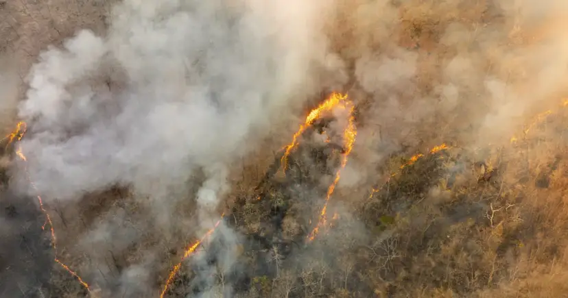 Globalne emisje CO2: Rekordy, liderzy, prognozy. Czy zatrzymamy wzrost?