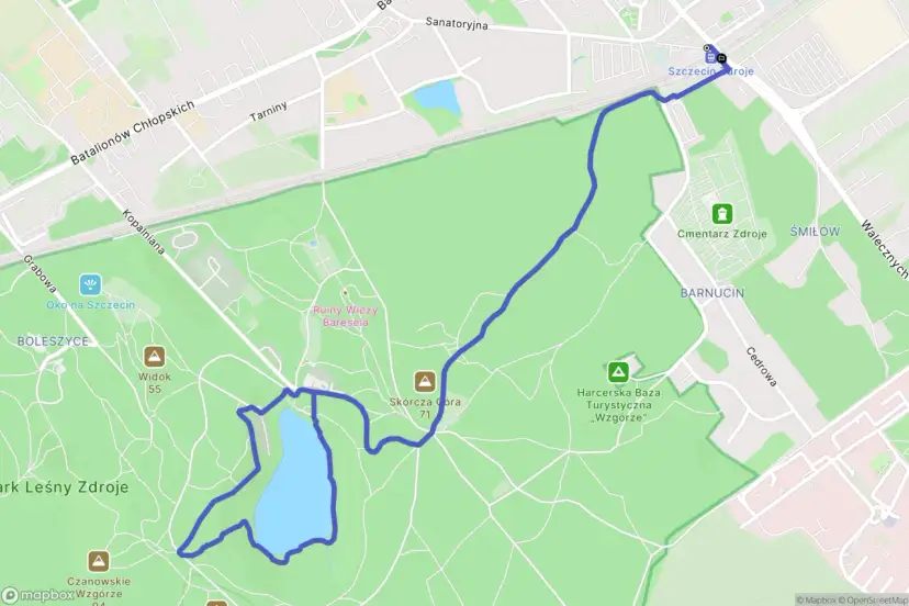 Puszcza Bukowa: Atrakcje, szlaki i sekrety. Zaplanuj wycieczkę!