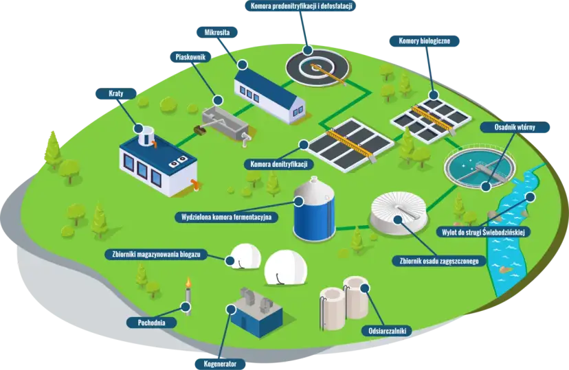 Sekrety oczyszczalni ścieków: Jak z brudnej wody powstaje czysta?