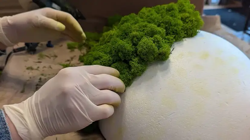 Twój mech dekoracyjny twardnieje? Poznaj 1 klucz do jego miękkości!