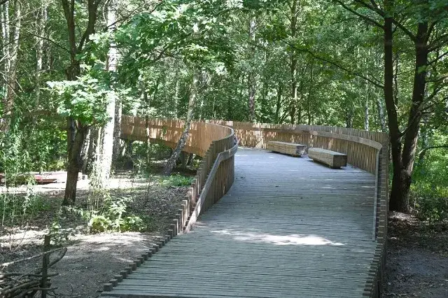 Rezerwat przyrody Olszynka Grochowska – historia, natura i atrakcje