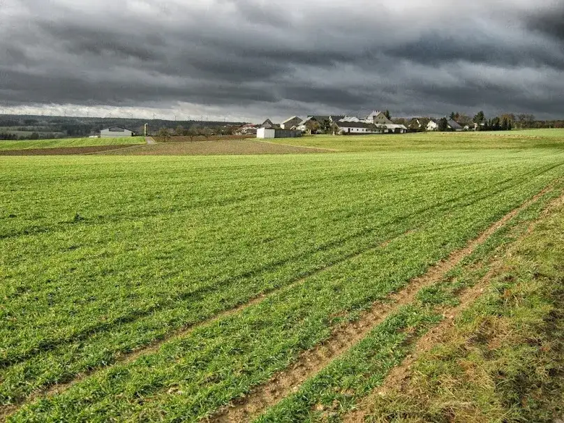 Działka rolno-budowlana – co to znaczy i jakie ma konsekwencje?
