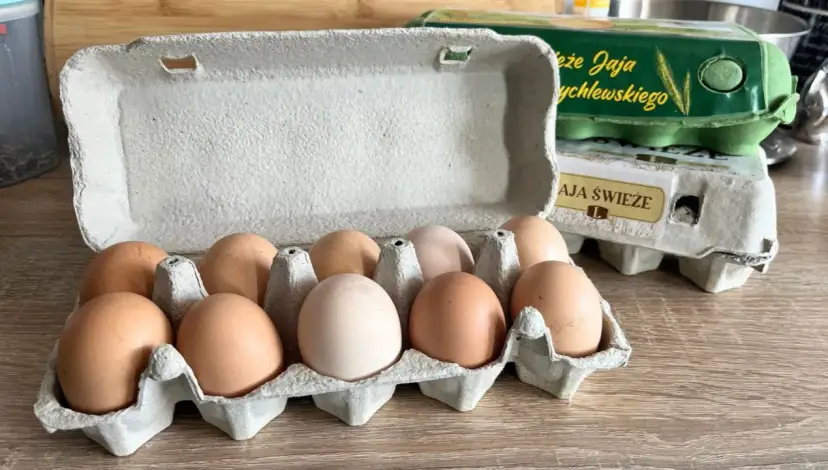 Wiejskie jajka: jak długo przechowywać bezpiecznie? Poznaj zasady