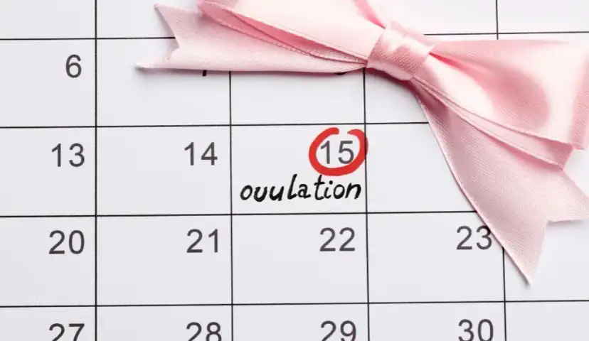 Ile dni po owulacji jest się płodnym? Odkryj kluczowe informacje