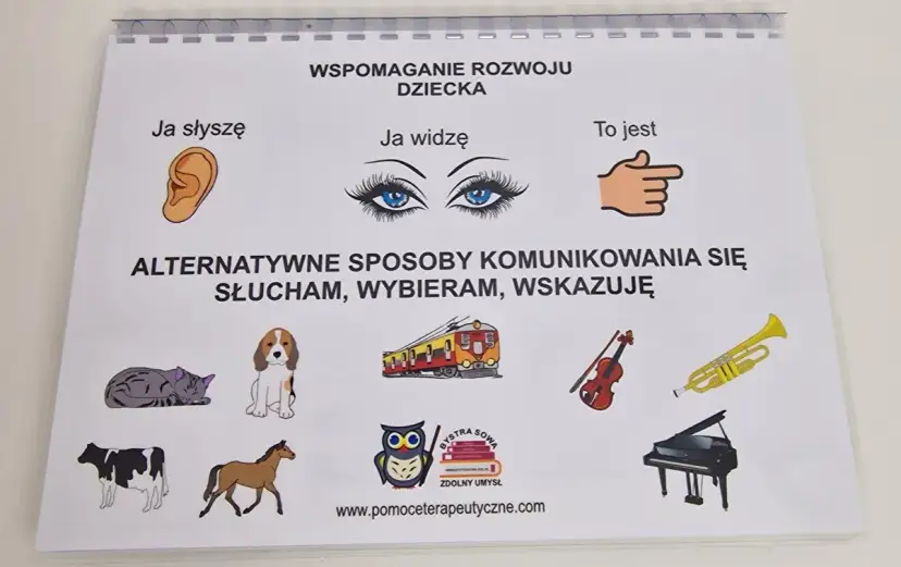 Alternatywne sposoby porozumiewania się osób niesłyszących, które działają