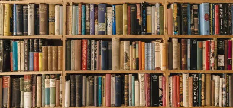 Gdzie oddać książki w Szczecinie? Sprawdź najlepsze miejsca i opcje