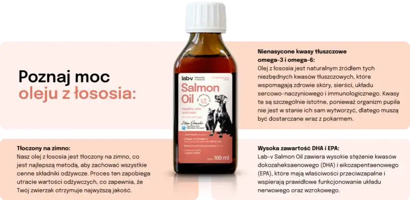 Jaki olej z łososia dla psa? Najlepsze produkty dla zdrowia pupila