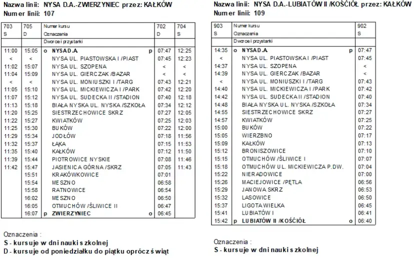Skąd odjeżdża autobus Nysa? Adres, przewoźnicy, dojazd!