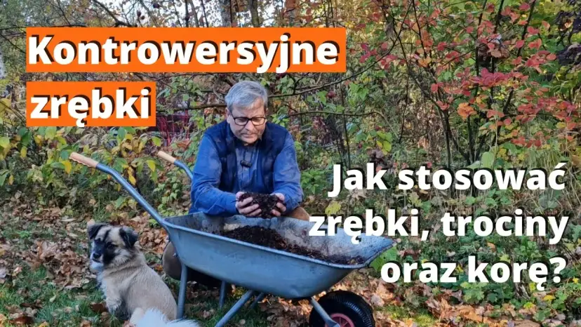 Kora czy zrębki - co lepsze do ogrodu? Odkryj kluczowe różnice