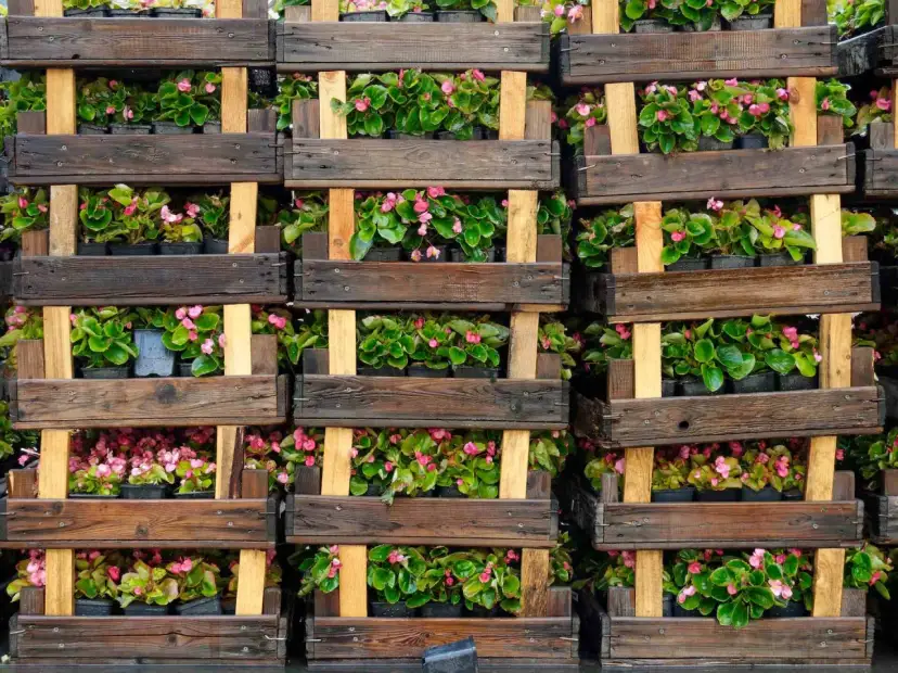 Kwietnik z palety: Prosty poradnik DIY krok po kroku