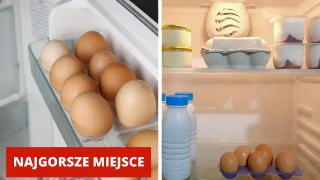 Jajka: lodówka czy półka? Ekspert wyjaśnia zasady przechowywania