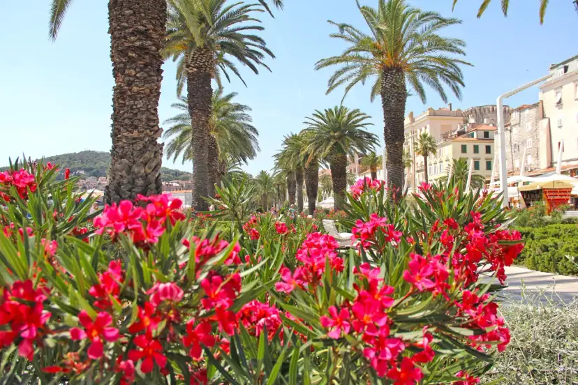 Najlepsze atrakcje w Dalmacji, które musisz zobaczyć podczas wizyty