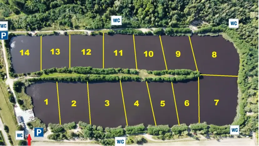 Widok z lotu ptaka na łowisko Borowy Staw. Stawy podzielone na sektory z numeracją od 1 do 14. Widać parking (P) i toalety (WC).
