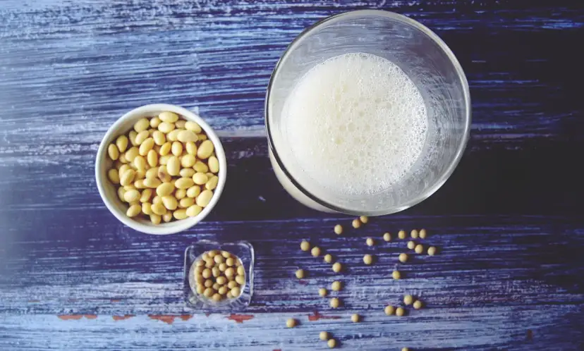 Jak zrobić mleko sojowe? Idealny przepis bez fasolowego posmaku