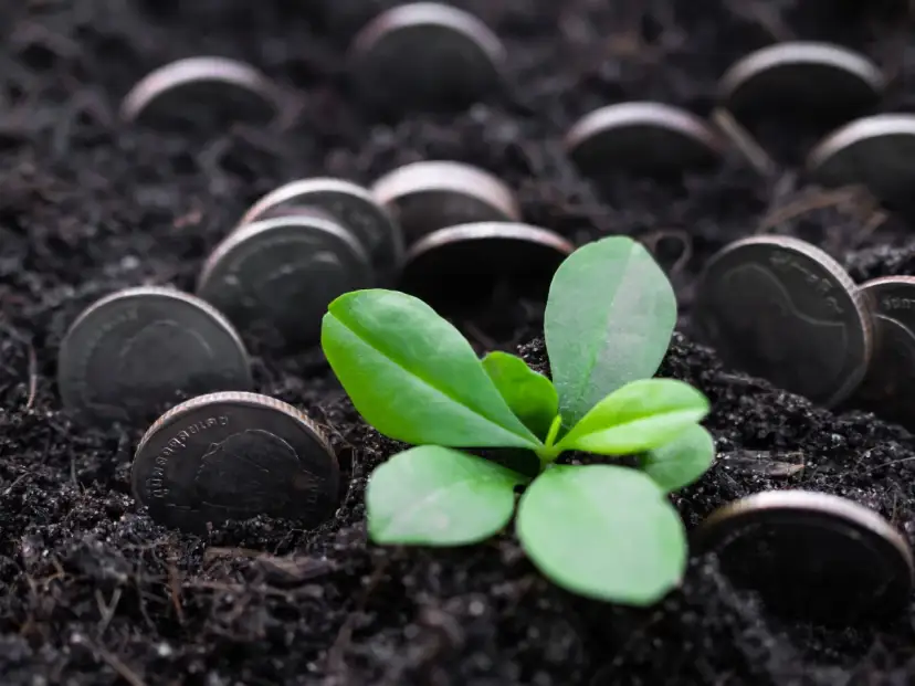 Odrolnienie bez opłat? Poznaj zwolnienia i oszczędź tysiące!