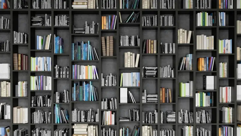 Eine Wand voller Bücherregale mit vielen Büchern in verschiedenen Farben und Größen.