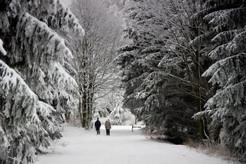Ile śniegu w górach? Sprawdź aktualne warunki narciarskie!