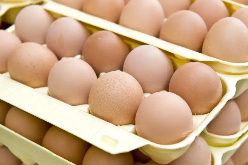 Jajka w wytłoczce. Zastanawiasz się, czy białka można mrozić? Tak, można je zamrozić, podobnie jak całe jajka.