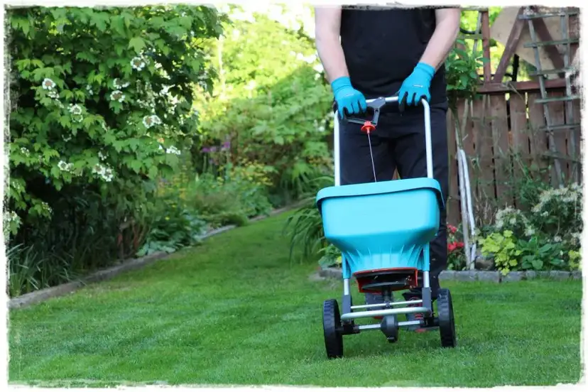 Jak równo rozsiać nawóz na trawniku, aby uniknąć problemów z trawą