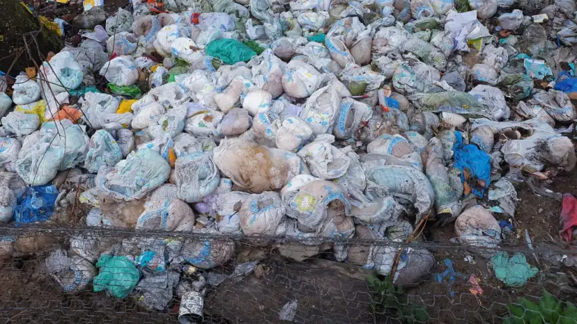 Pieluchy jednorazowe: Jaki to odpad? Rozwiewamy mity!