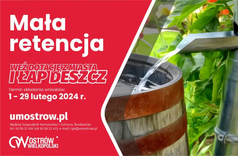 Deszczówka: legalnie, skutecznie, z dotacją. Poradnik DIY