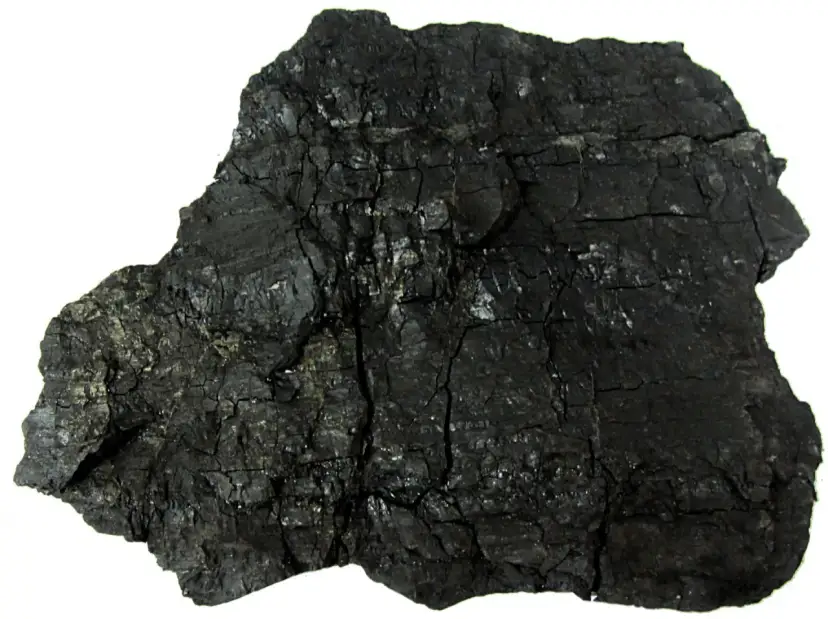 Okres geologiczny w którym powstał węgiel kamienny – tajemnice karbonu