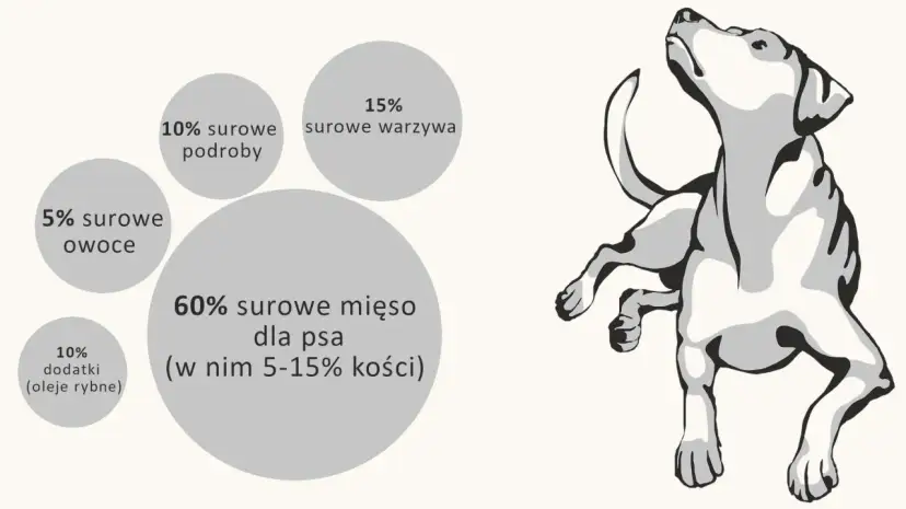 Idealne barf proporcje dla psa: 60% mięsa, 15% warzyw, 10% podrobów, 5% owoców i 10% dodatków.