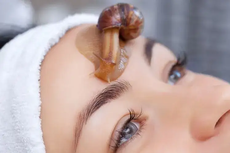 Usuwanie śluzu ślimaka: Świeże i zaschnięte plamy bez śladu