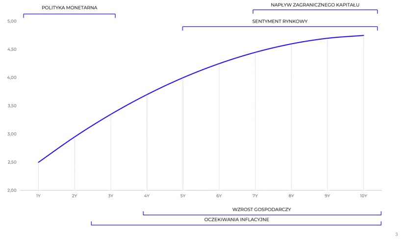Krzywa rentowności: Jak odczytać sygnały rynku i inwestować?