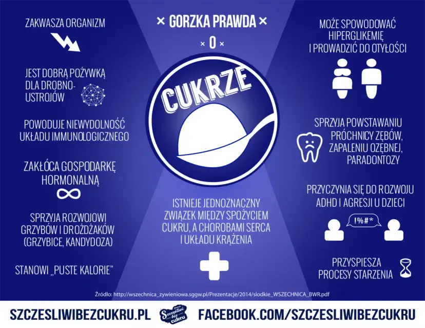 Cukier w diecie psa: dlaczego szkodzi i jak go unikać?