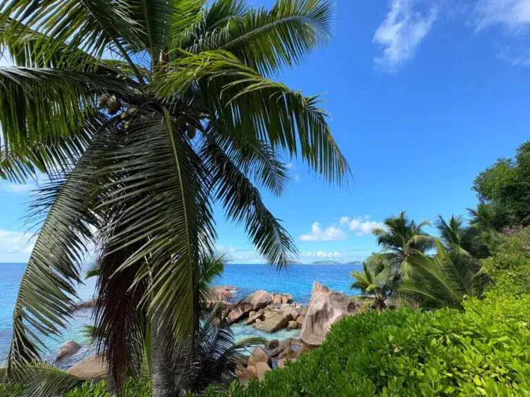 Czy na Seszelach jest bezpiecznie? Odkryj zagrożenia i porady dla turystów