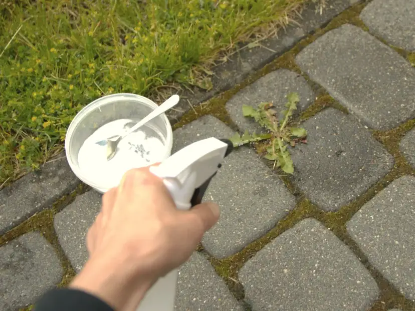 Skuteczne metody na chwasty na chodniku - pozbądź się ich raz na zawsze