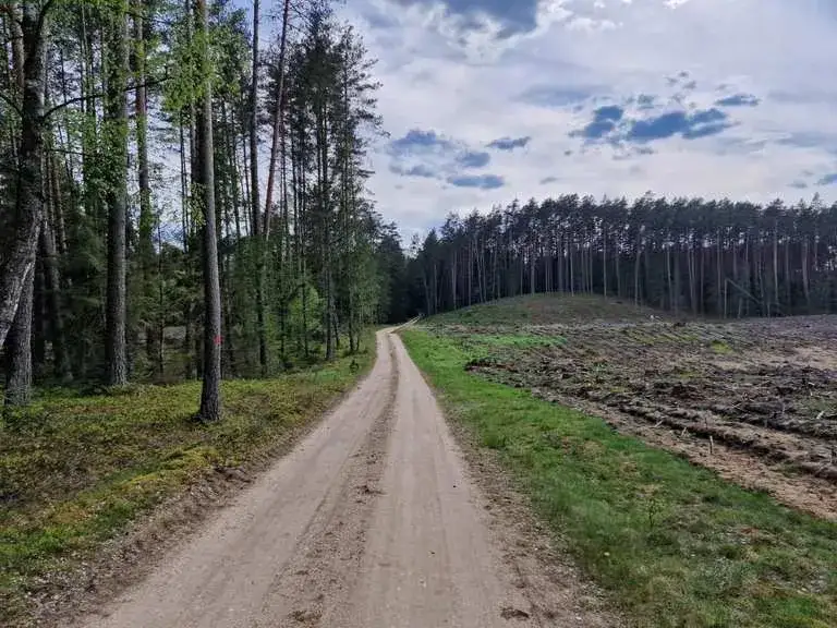 Jedwabno atrakcje: odkryj ukryte skarby natury i kultury