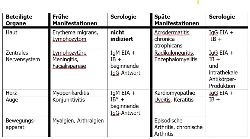 Borrelien Blutuntersuchung: Wichtige Informationen zur Diagnose von Lyme-Borreliose