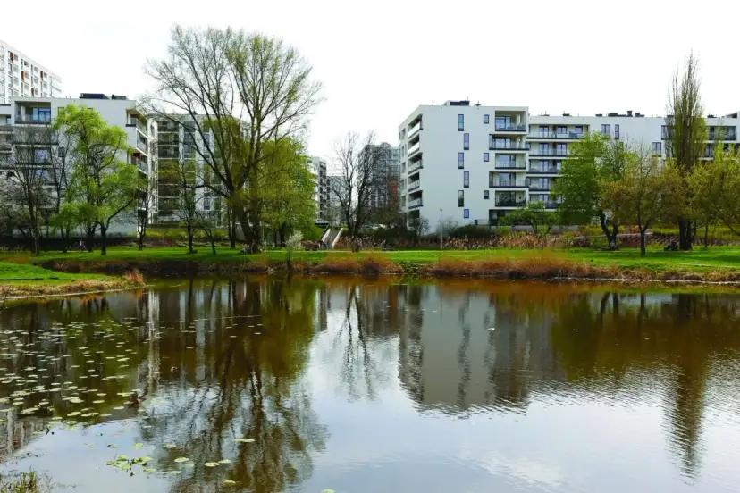 Co oznacza teren zieleni nieurządzonej i jakie ma ograniczenia?