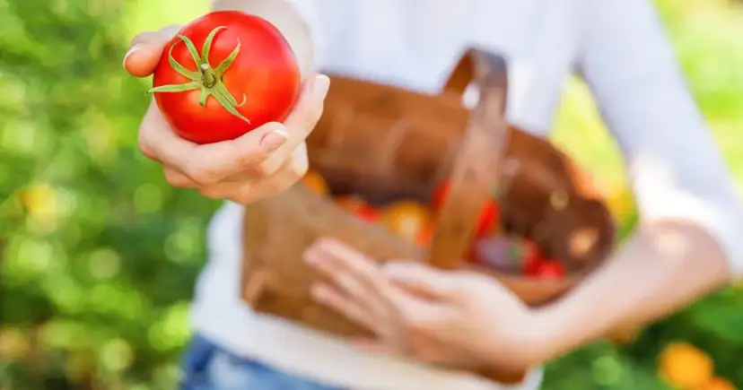 Pomidory: IG, ŁG, likopen bezpieczny wybór dla cukrzyków?