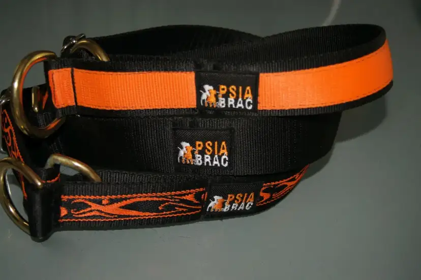 Obroża półzaciskowa jak działa i dlaczego jest bezpieczna dla psa