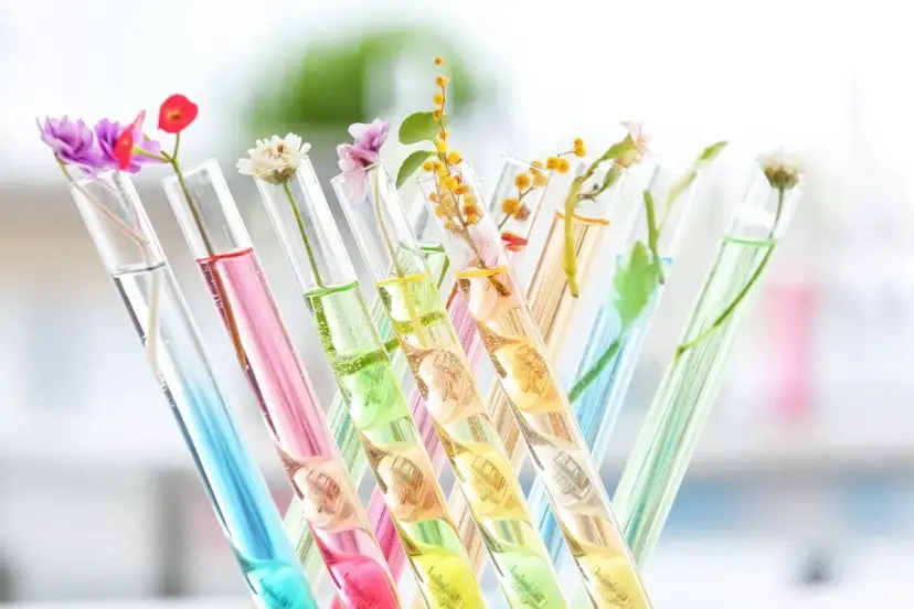 Barwienie kwiatów: Prosty eksperyment dla dzieci i dorosłych!