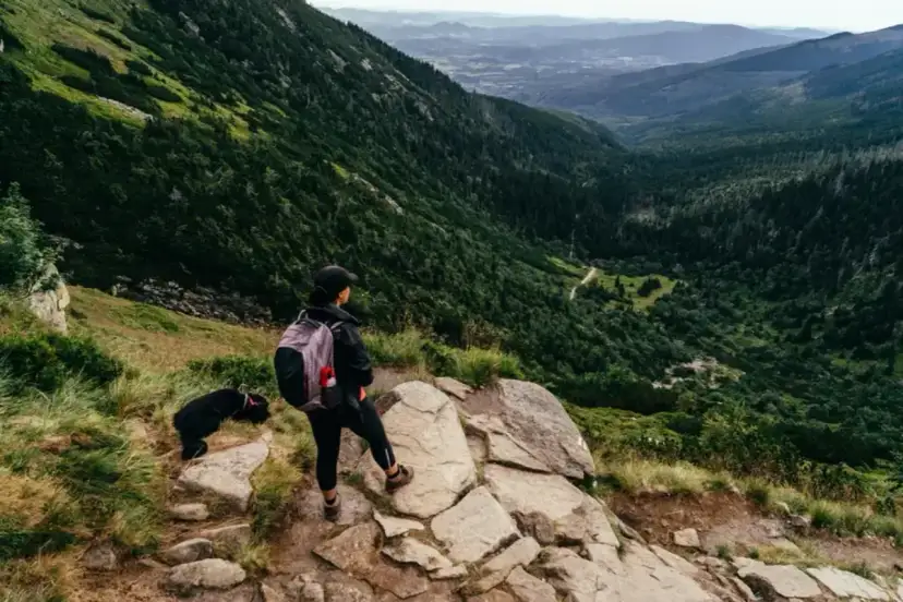 Gdzie w góry latem? Odkryj najlepsze trasy i miejsca na wędrówki